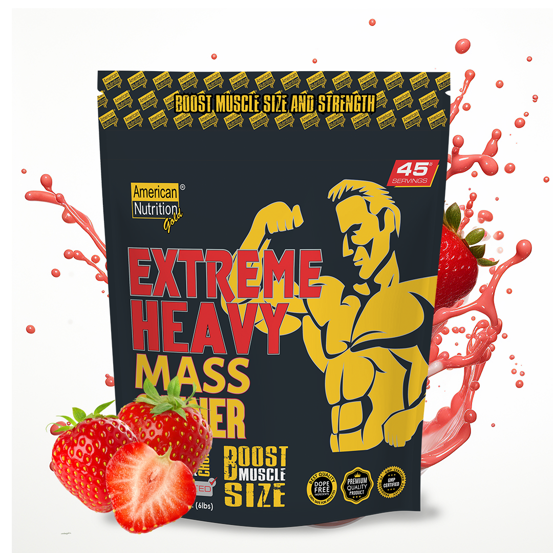 American Nutrition Extreme Heavy Mass Gainer 2.7 Kg